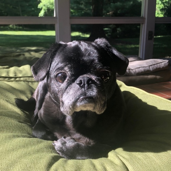 Meet your Posher, Megan - Picture 1 of 1